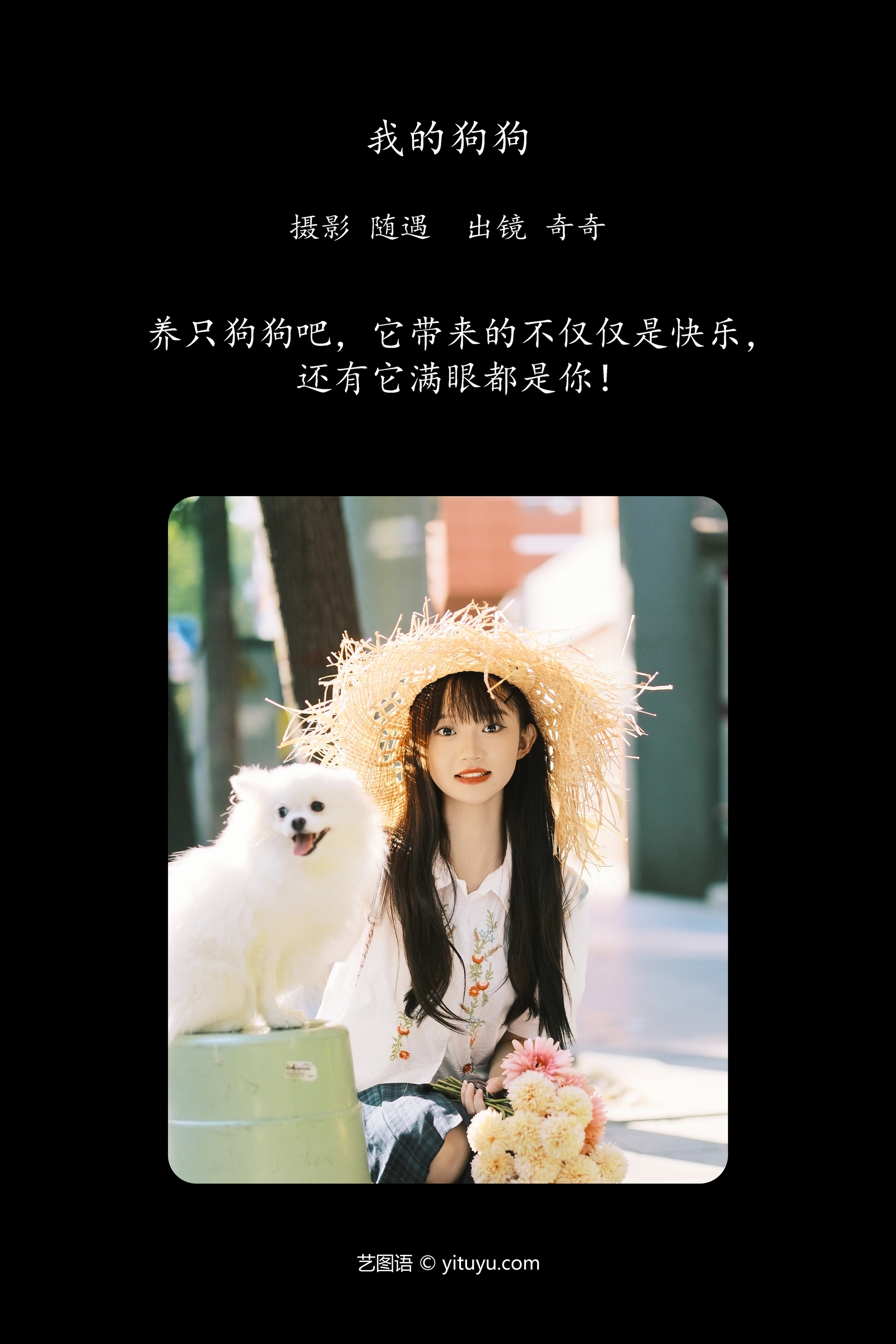 [YITUYU艺图语]2024.12.17 我的狗狗 小傲 1